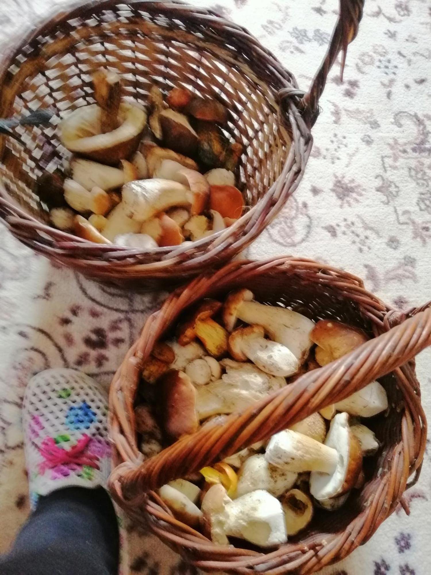 Penzion Jura Chřibská Bagian luar foto