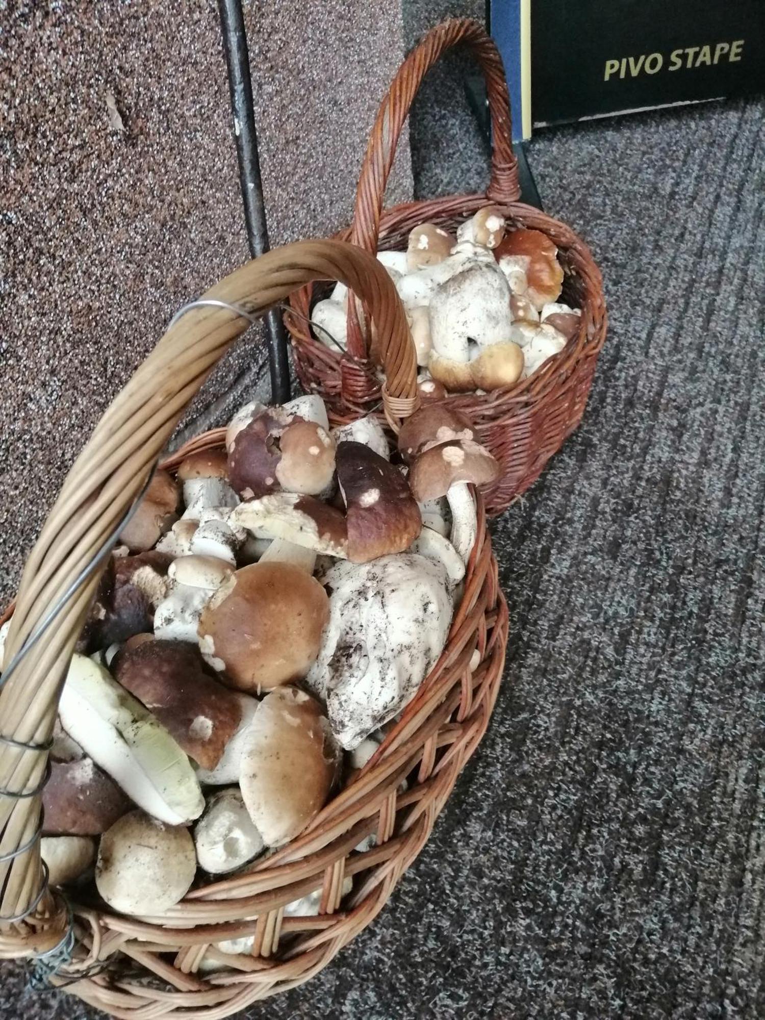 Penzion Jura Chřibská Bagian luar foto