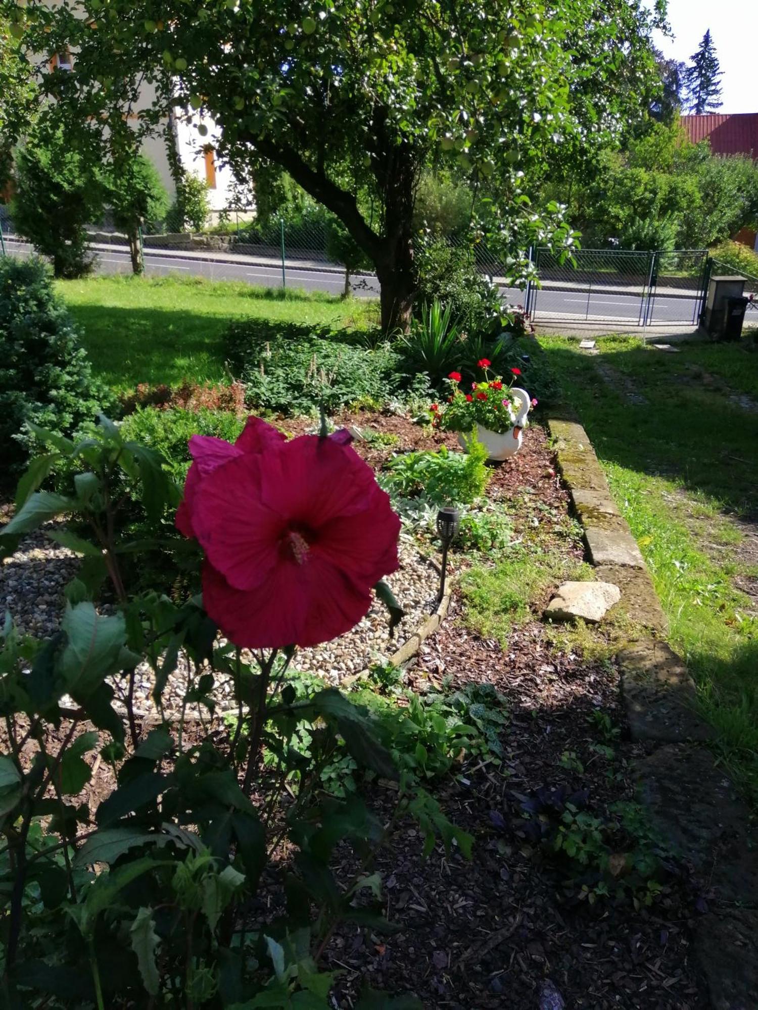 Penzion Jura Chřibská Bagian luar foto